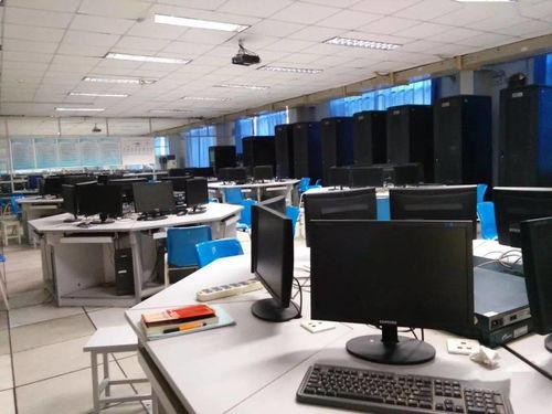 計(jì)算機(jī)網(wǎng)絡(luò)技術(shù)與計(jì)算機(jī)技術(shù)培訓(xùn) 構(gòu)建數(shù)字化未來的基石